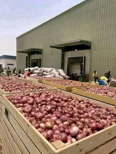 Dehydrated Onion thumbnail 3